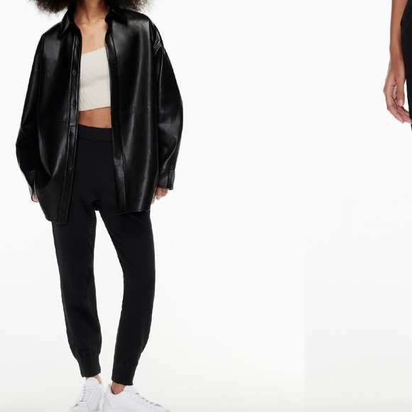 Aritzia rodin knit joggers - Picture 2 of 13